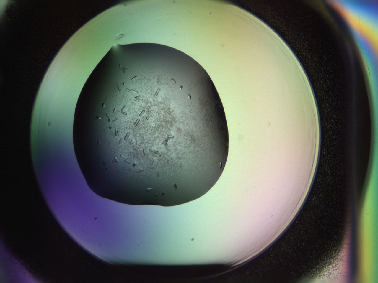 02my_F6_ImagerDefaults_9.jpg