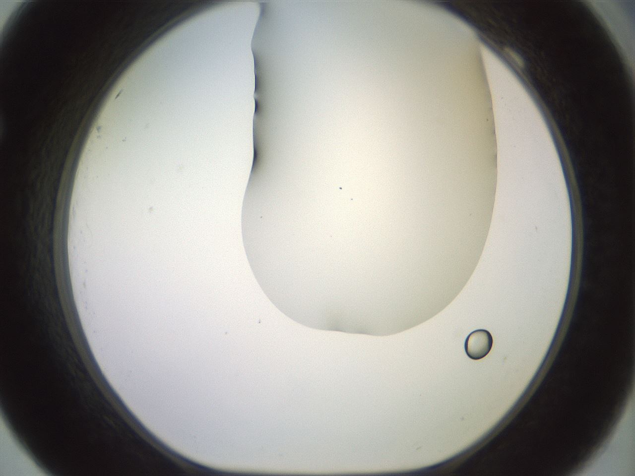 folderID419_plateID2419_batchID11660_wellNum69_profileID1_d1_r179428_ef.jpg