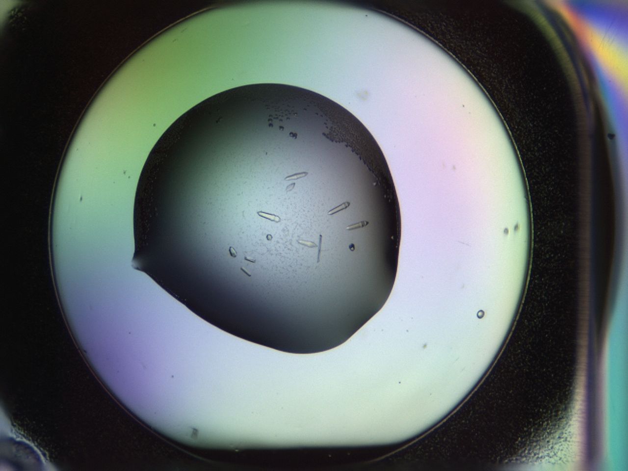 02my_F10_ImagerDefaults_9.jpg