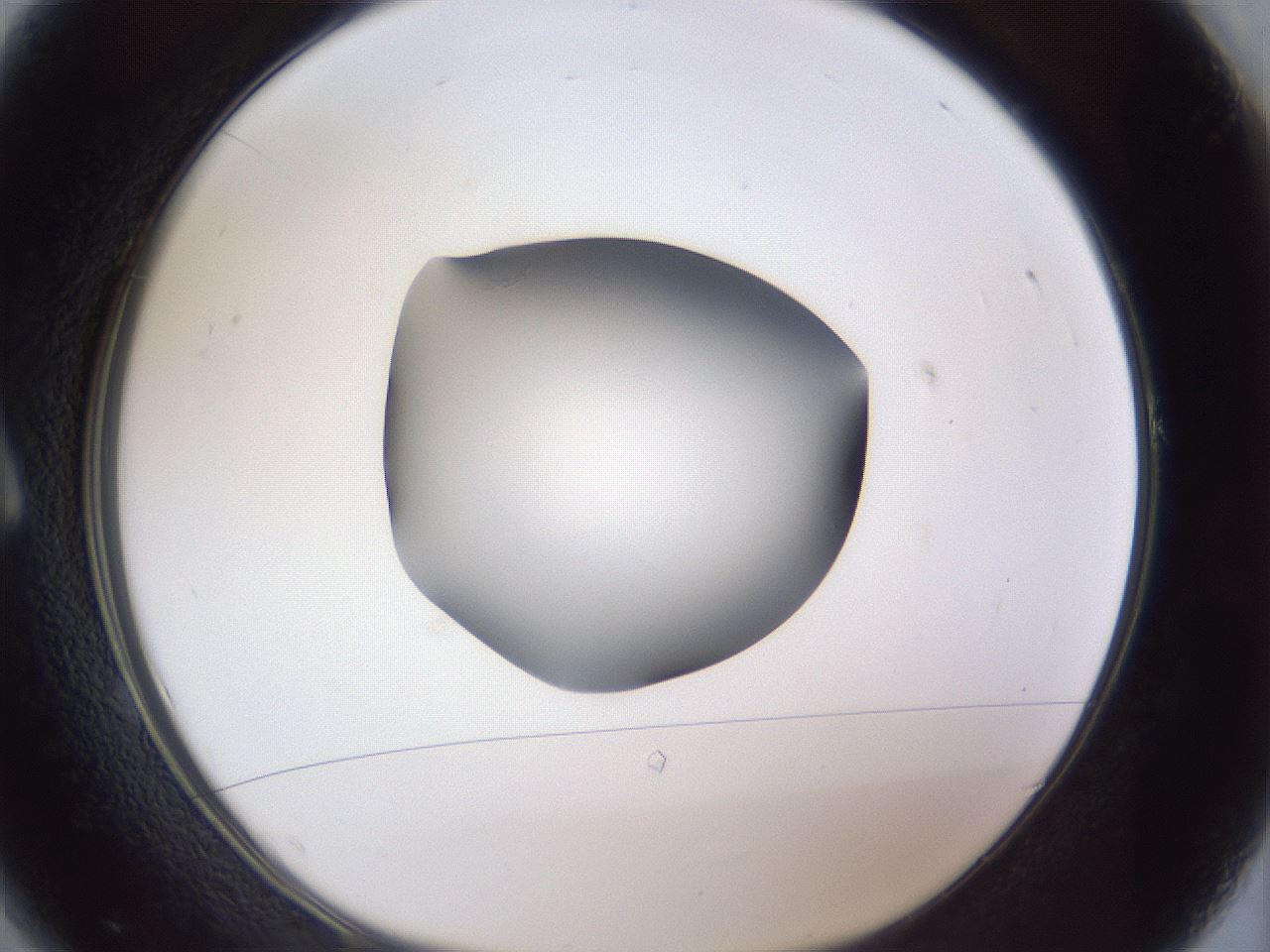 folderID41_plateID1041_batchID2098_wellNum1_profileID1_d1_r45384_ef.jpg