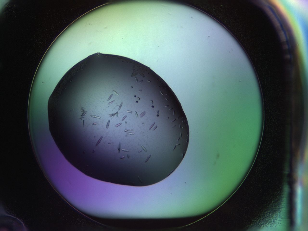 02my_F12_ImagerDefaults_9.jpg
