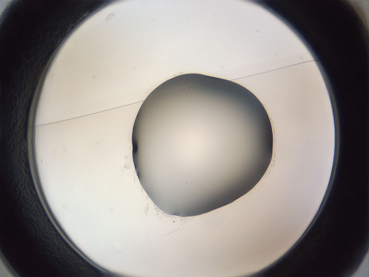 folderID41_plateID1041_batchID2098_wellNum25_profileID1_d1_r45432_ef.jpg