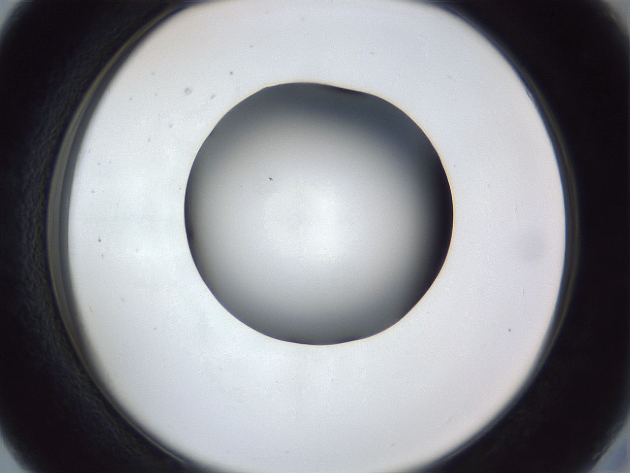 folderID41_plateID1041_batchID2098_wellNum27_profileID1_d2_r45437_ef.jpg