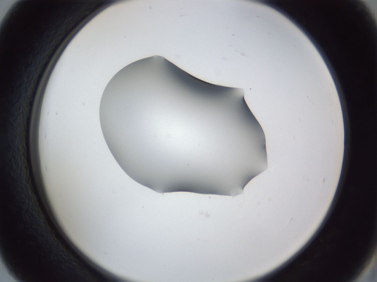 folderID41_plateID1041_batchID2098_wellNum39_profileID1_d2_r45461_ef.jpg