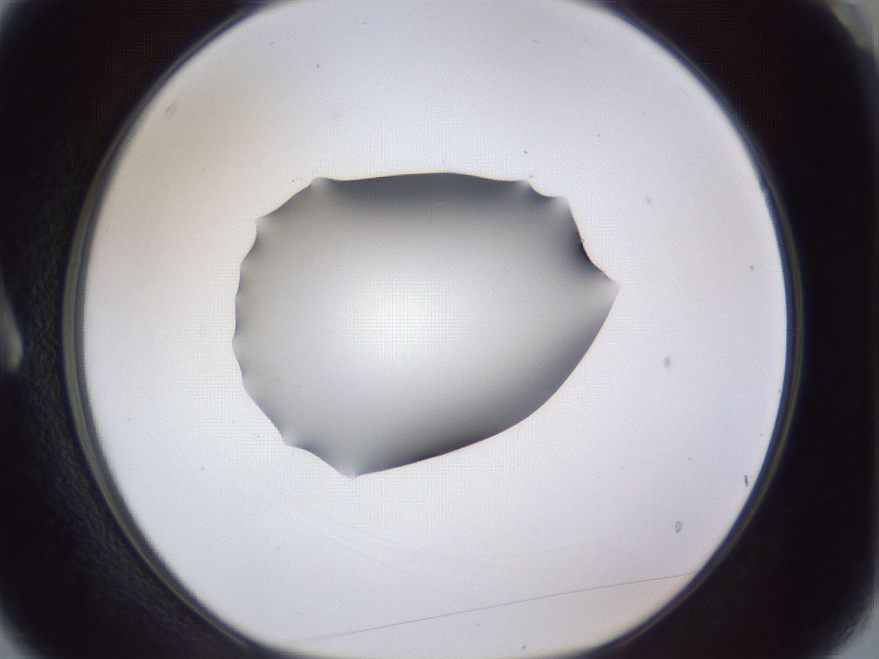 folderID41_plateID1041_batchID2098_wellNum3_profileID1_d1_r45388_ef.jpg