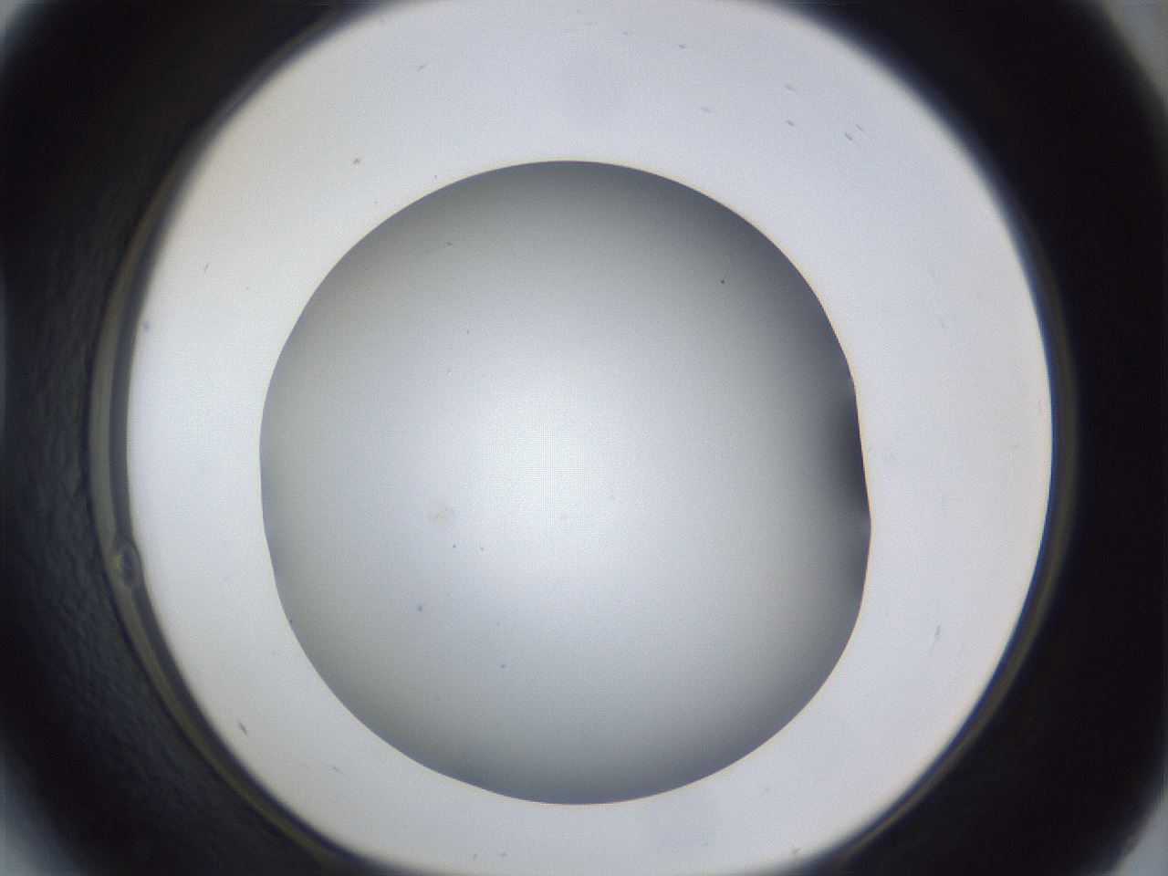 folderID41_plateID1041_batchID2098_wellNum41_profileID1_d1_r45464_ef.jpg