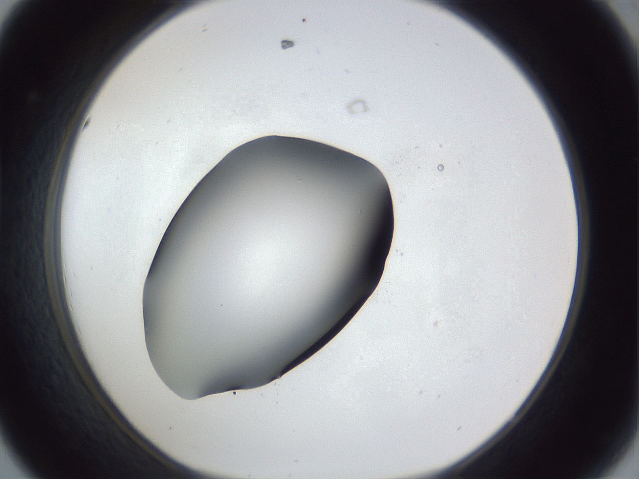 folderID41_plateID1041_batchID2098_wellNum44_profileID1_d1_r45470_ef.jpg