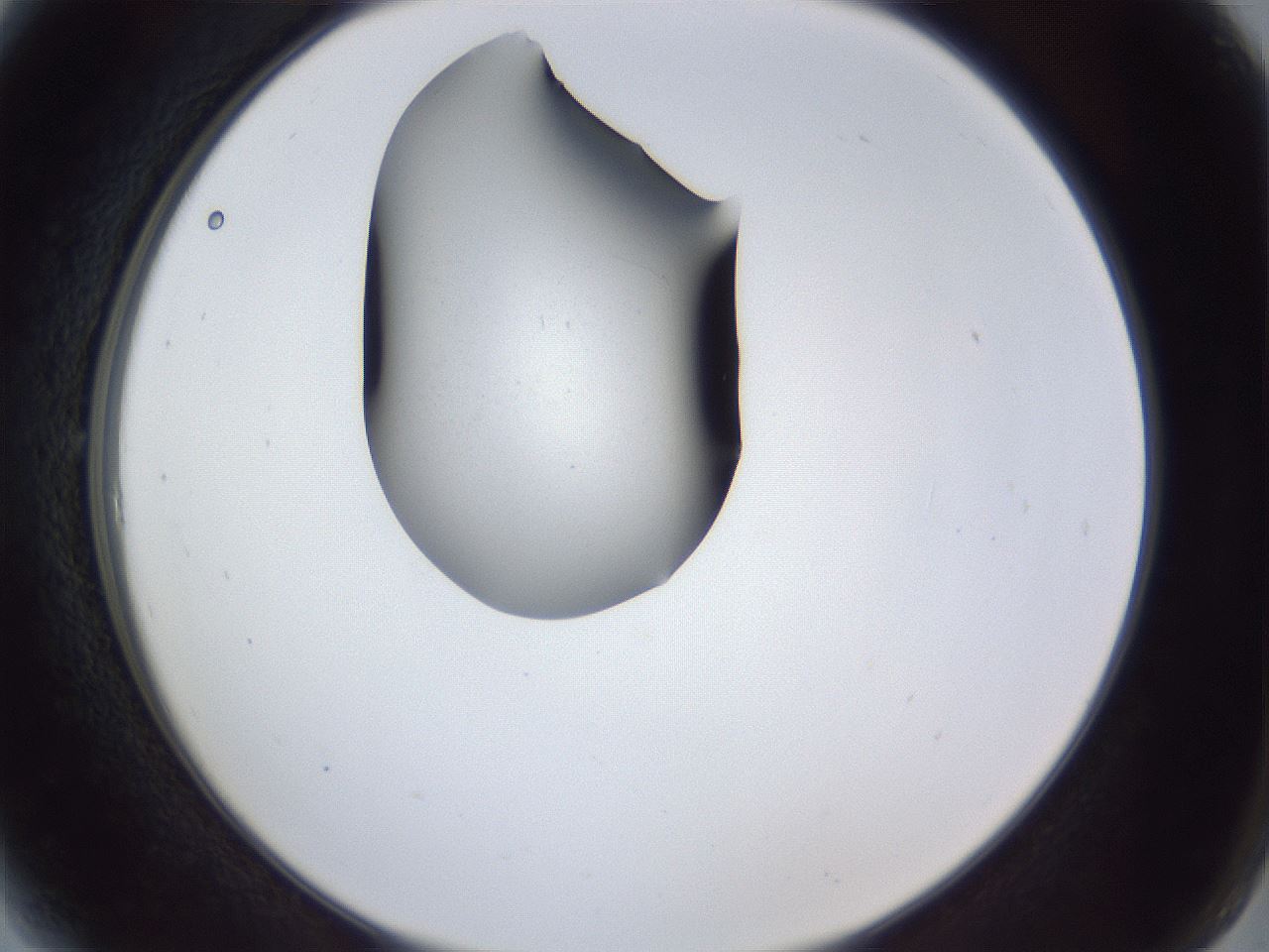 folderID41_plateID1041_batchID2098_wellNum6_profileID1_d2_r45395_ef.jpg