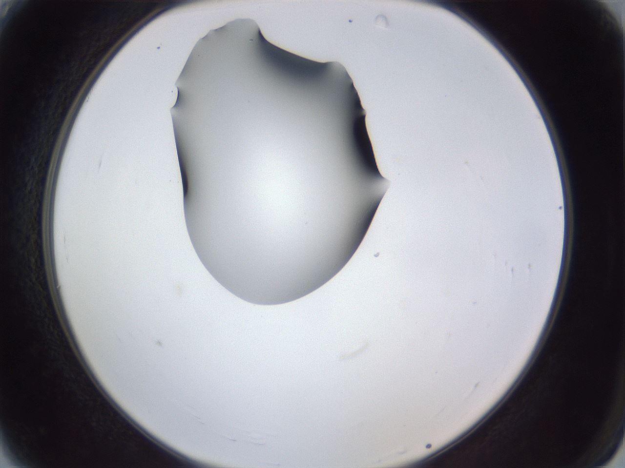 folderID41_plateID1041_batchID2098_wellNum4_profileID1_d2_r45391_ef.jpg
