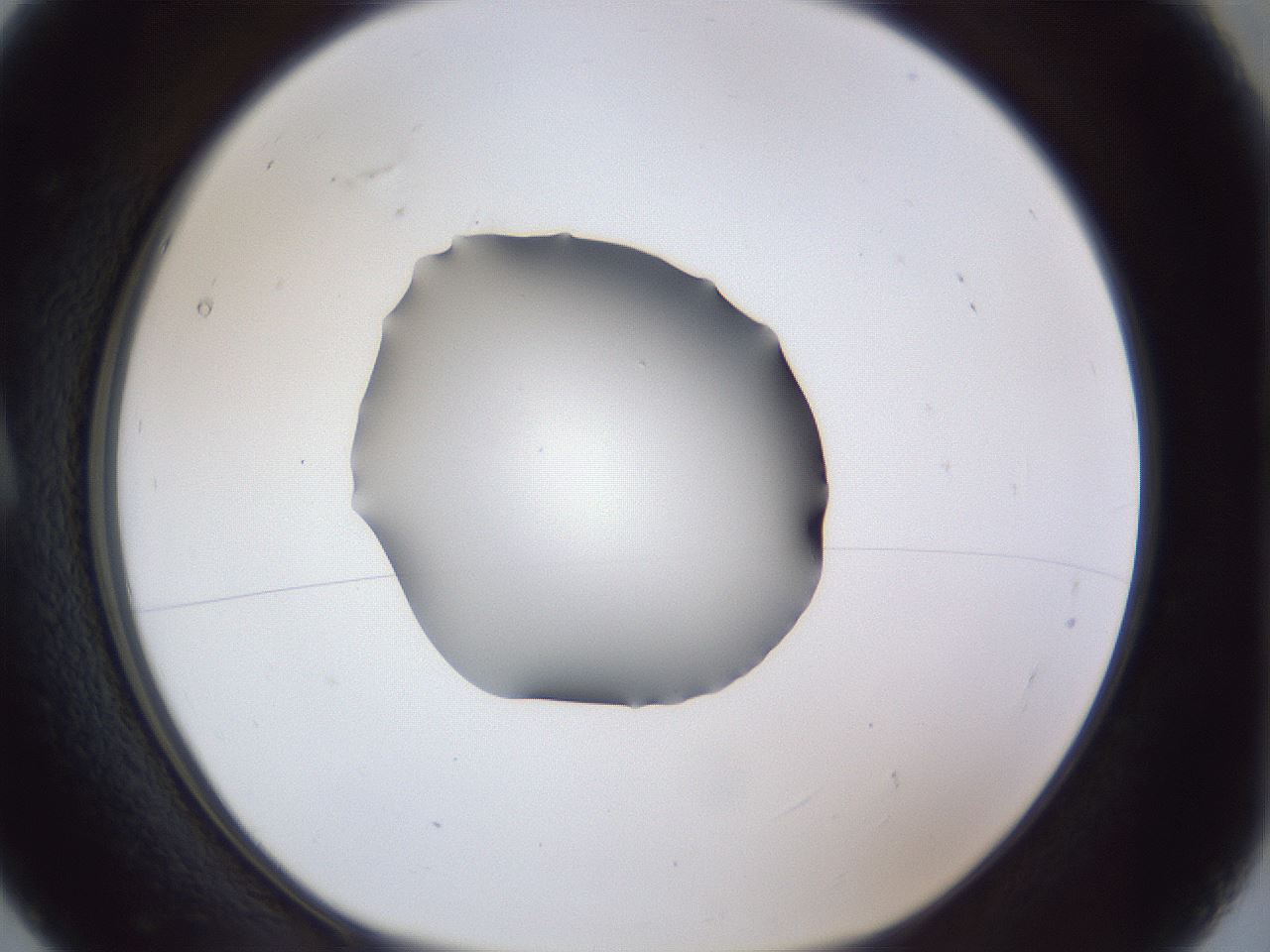 folderID41_plateID1041_batchID2098_wellNum5_profileID1_d1_r45392_ef.jpg