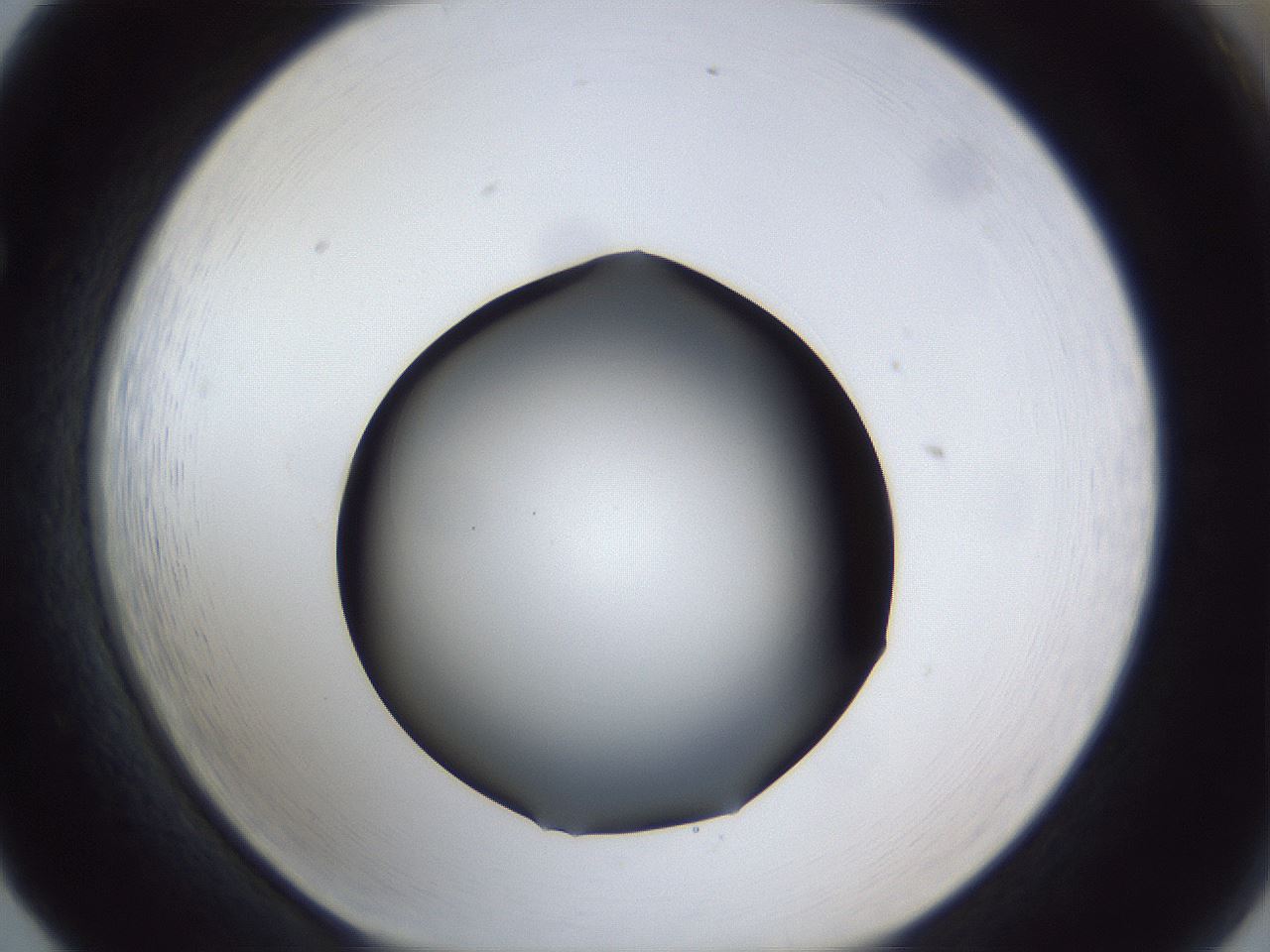 folderID41_plateID1041_batchID2098_wellNum65_profileID1_d1_r45512_ef.jpg