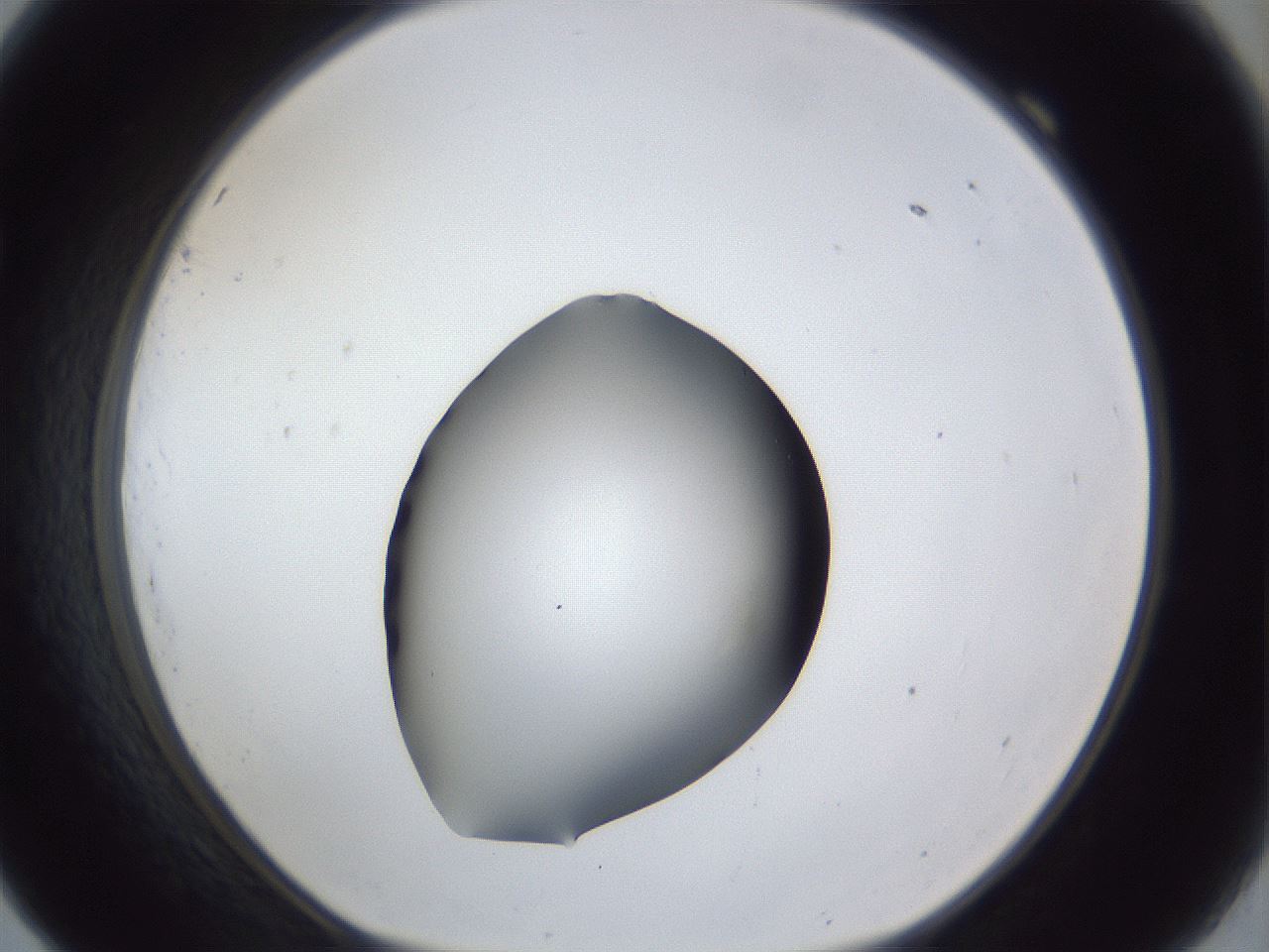 folderID41_plateID1041_batchID2098_wellNum69_profileID1_d1_r45520_ef.jpg