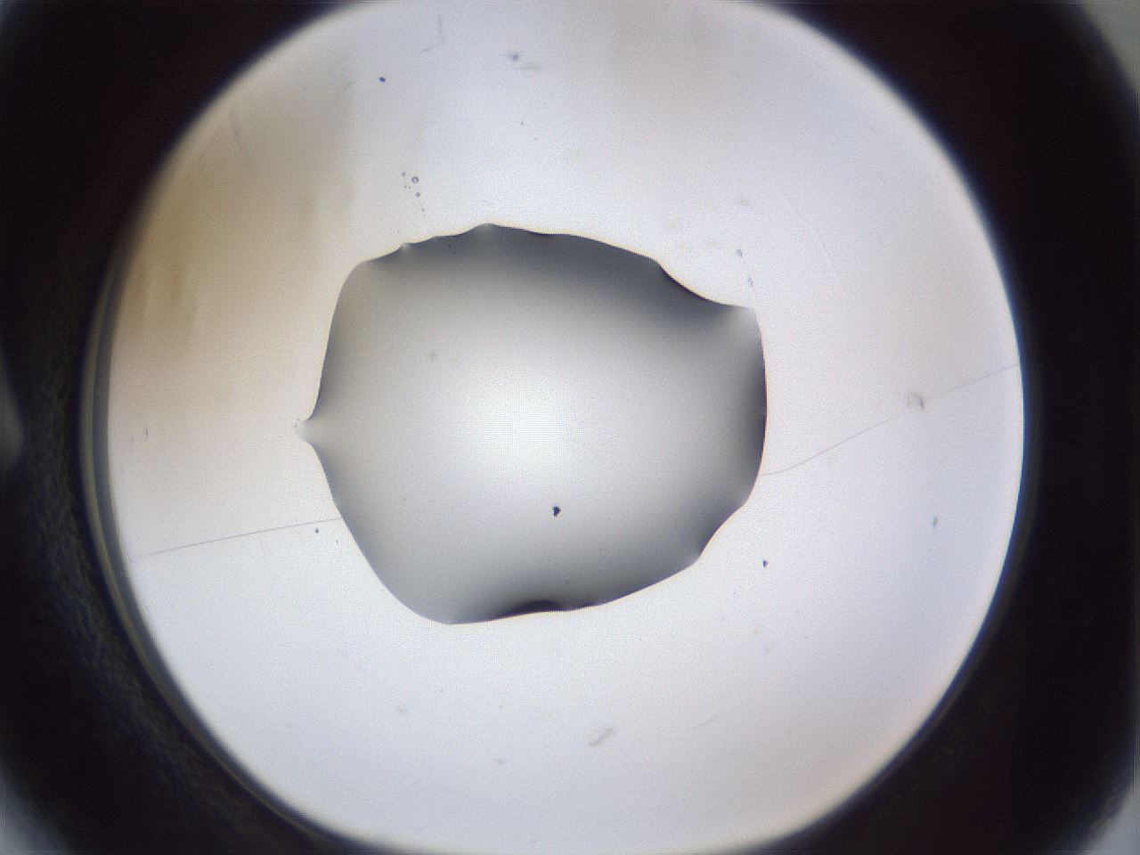 folderID41_plateID1041_batchID2098_wellNum6_profileID1_d1_r45394_ef.jpg