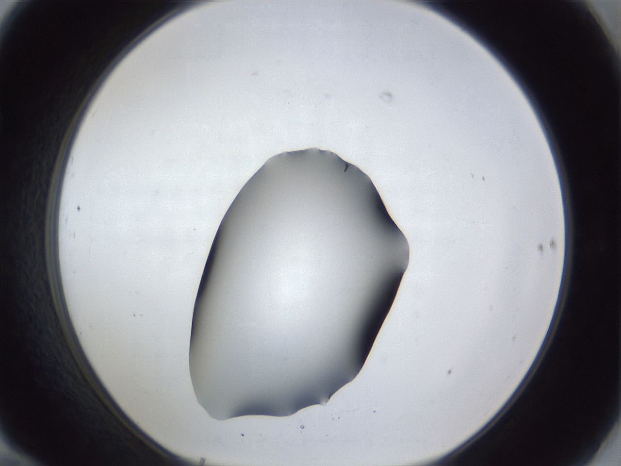 folderID41_plateID1041_batchID2098_wellNum70_profileID1_d1_r45522_ef.jpg