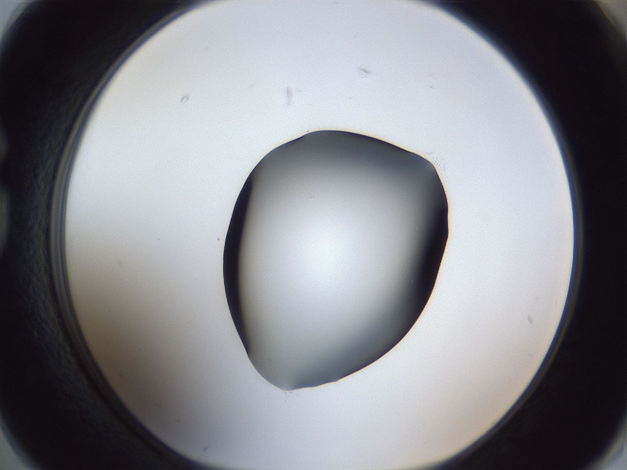 folderID41_plateID1041_batchID2098_wellNum74_profileID1_d1_r45530_ef.jpg