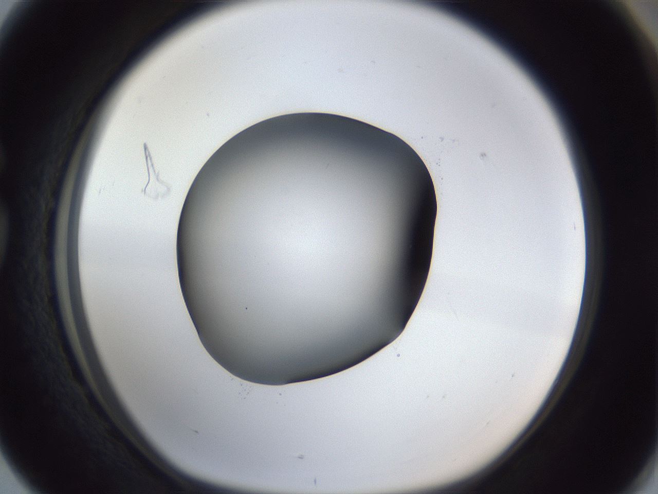 folderID41_plateID1041_batchID2098_wellNum76_profileID1_d1_r45534_ef.jpg