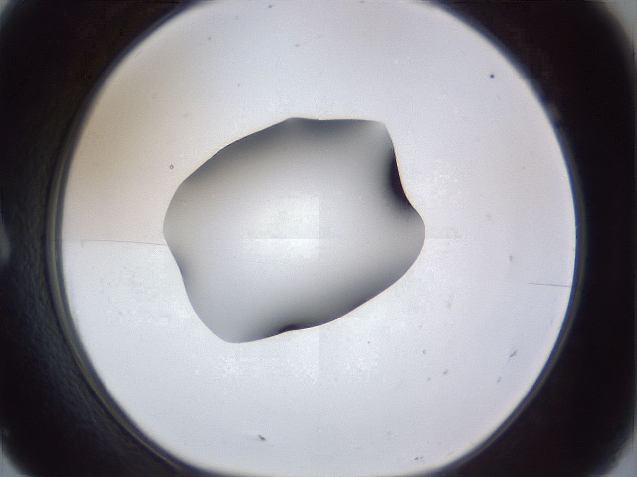 folderID41_plateID1041_batchID2098_wellNum7_profileID1_d1_r45396_ef.jpg