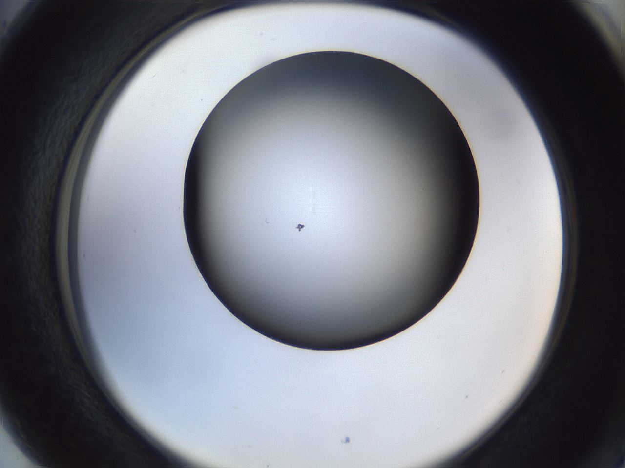 folderID41_plateID1041_batchID2098_wellNum89_profileID1_d2_r45561_ef.jpg