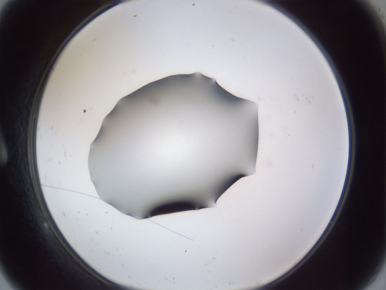 folderID41_plateID1041_batchID2098_wellNum9_profileID1_d1_r45400_ef.jpg