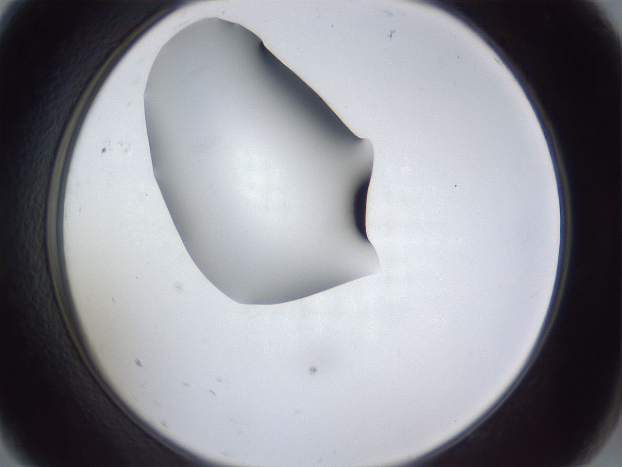 folderID41_plateID1041_batchID2098_wellNum9_profileID1_d2_r45401_ef.jpg
