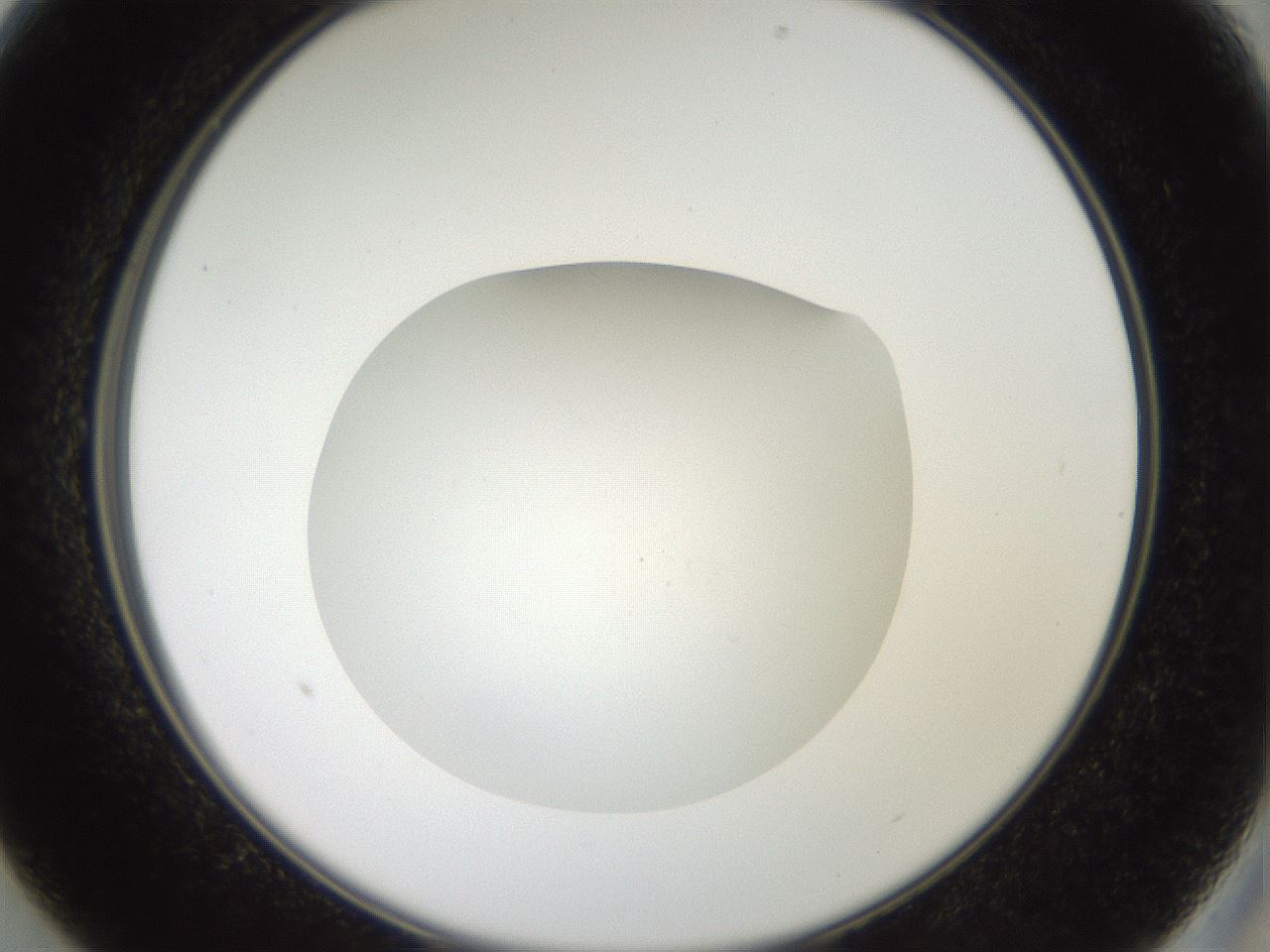 folderID41_plateID2041_batchID9006_wellNum13_profileID1_d2_r137296_ef.jpg