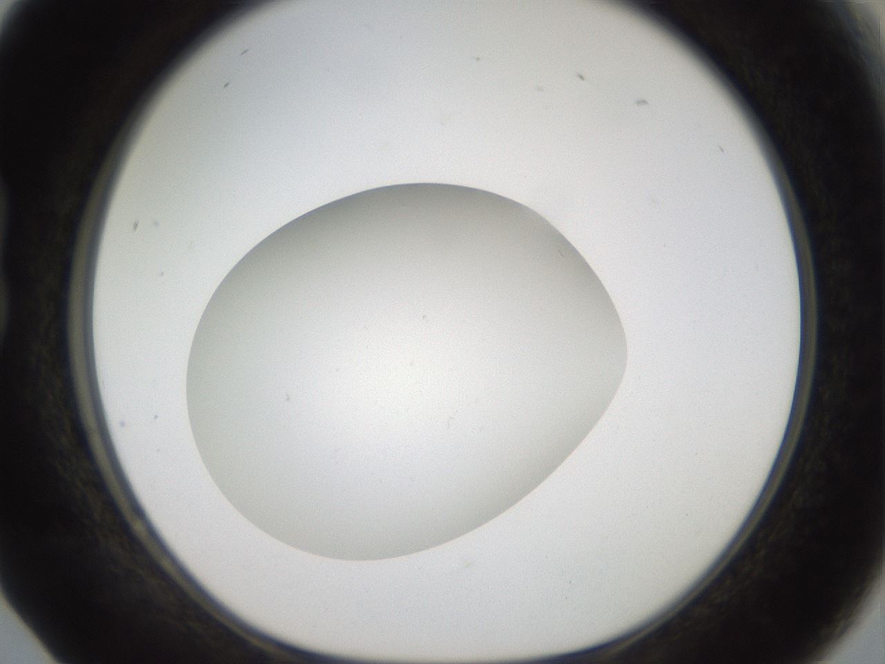 folderID41_plateID2041_batchID9006_wellNum17_profileID1_d1_r137303_ef.jpg