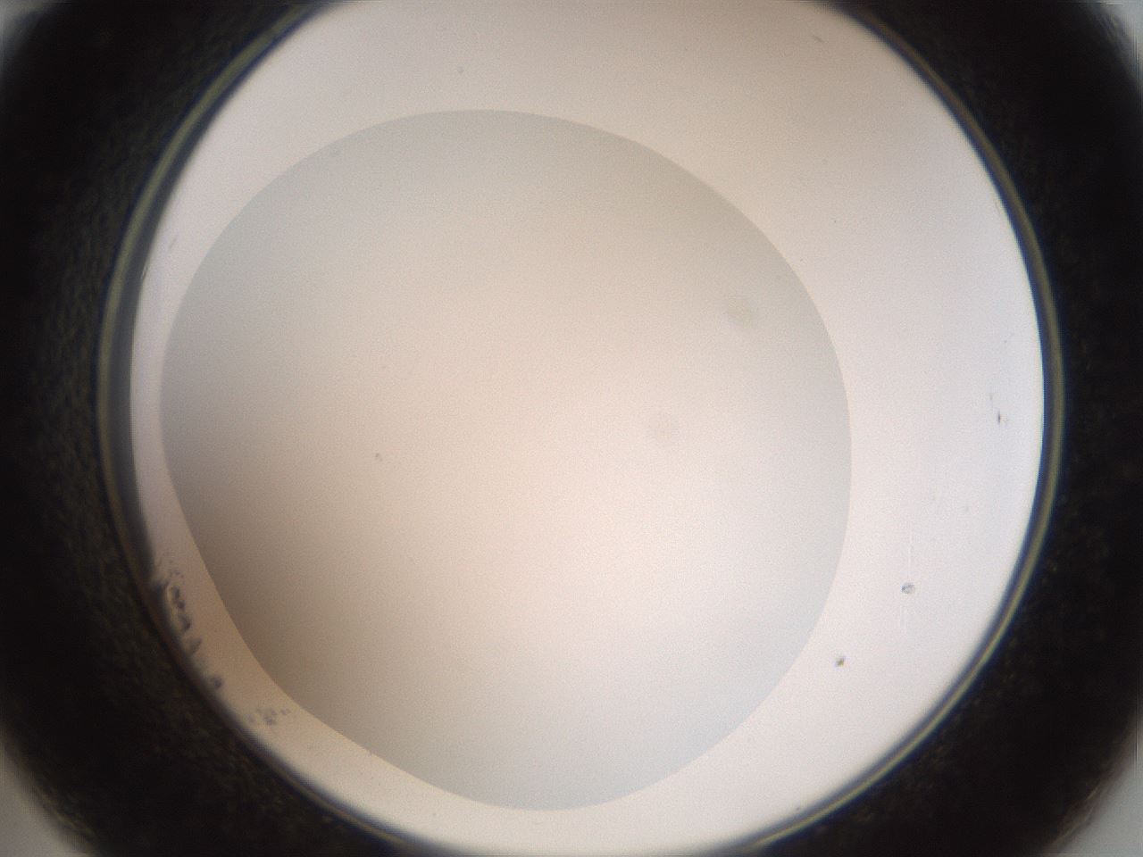 folderID41_plateID2041_batchID9006_wellNum23_profileID1_d2_r137316_ef.jpg