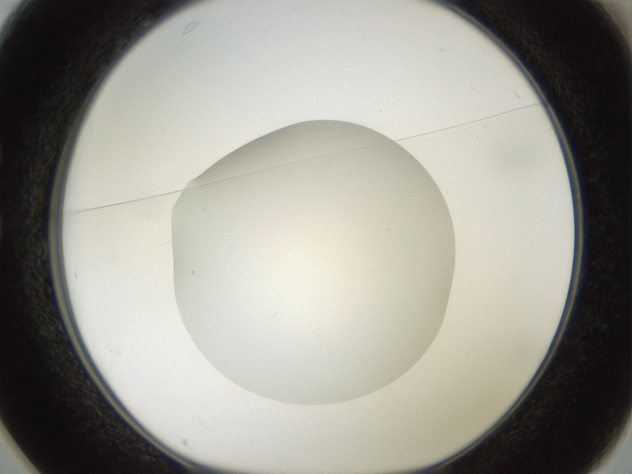 folderID41_plateID2041_batchID9006_wellNum25_profileID1_d1_r137319_ef.jpg