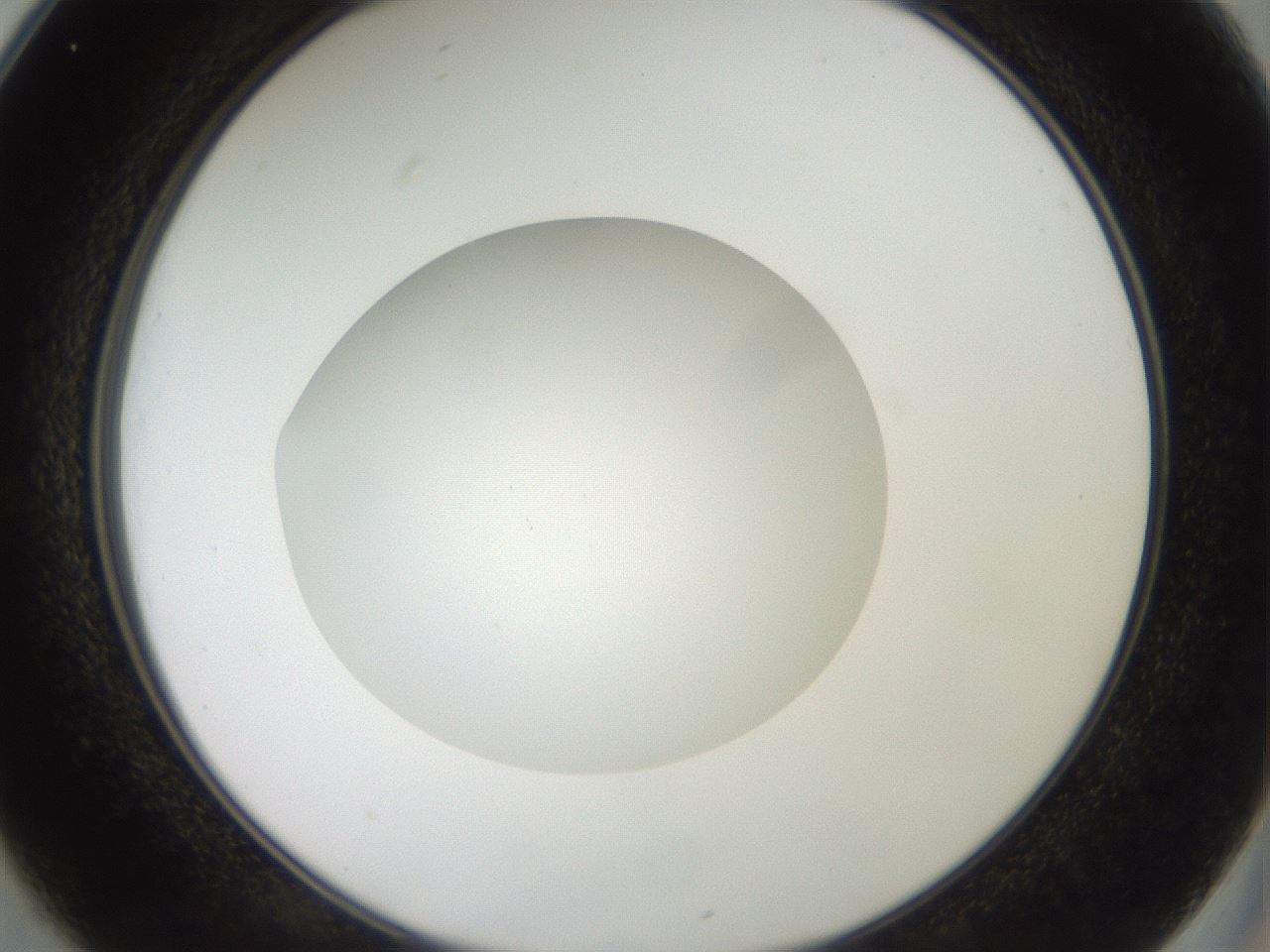 folderID41_plateID2041_batchID9006_wellNum25_profileID1_d2_r137320_ef.jpg