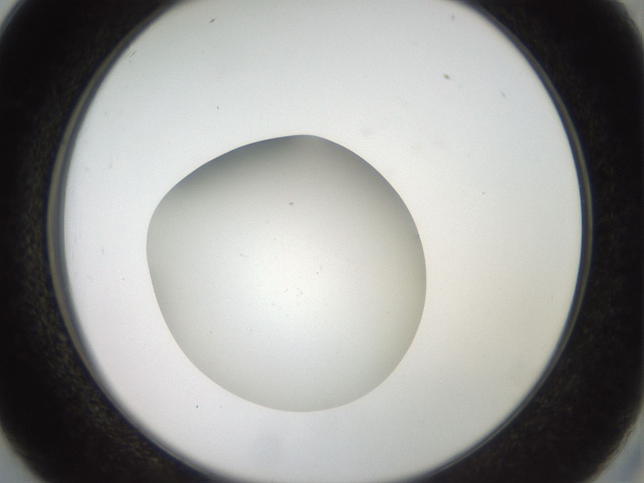 folderID41_plateID2041_batchID9006_wellNum26_profileID1_d2_r137322_ef.jpg