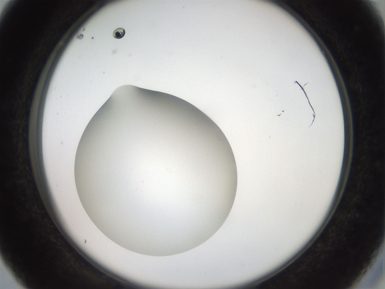 folderID41_plateID2041_batchID9006_wellNum27_profileID1_d2_r137324_ef.jpg