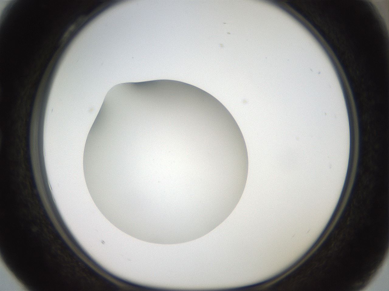 folderID41_plateID2041_batchID9006_wellNum28_profileID1_d1_r137325_ef.jpg