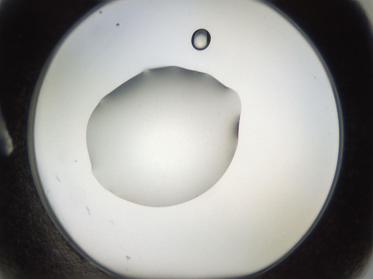 folderID41_plateID2041_batchID9006_wellNum2_profileID1_d1_r137273_ef.jpg