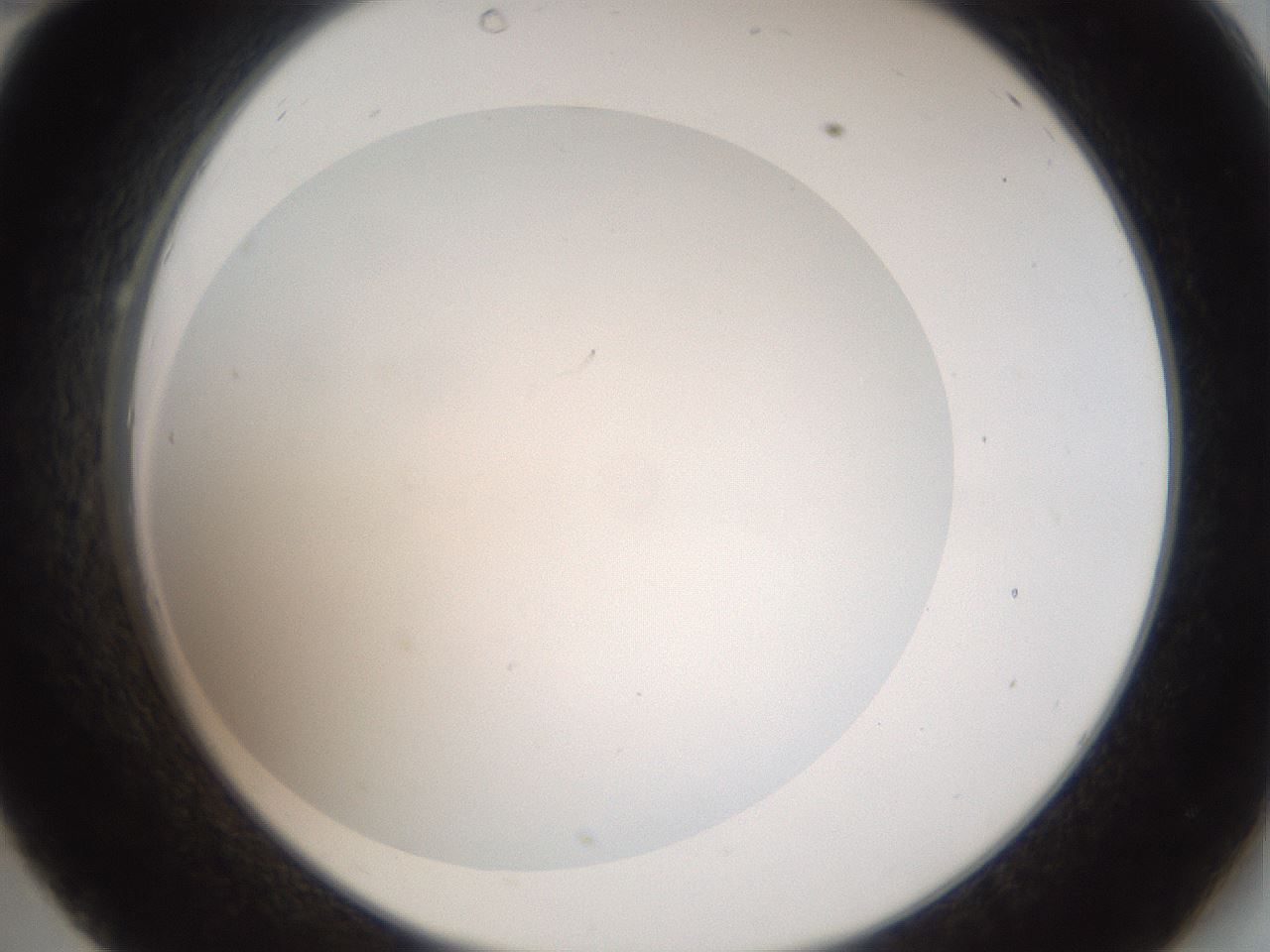 folderID41_plateID2041_batchID9006_wellNum34_profileID1_d2_r137338_ef.jpg
