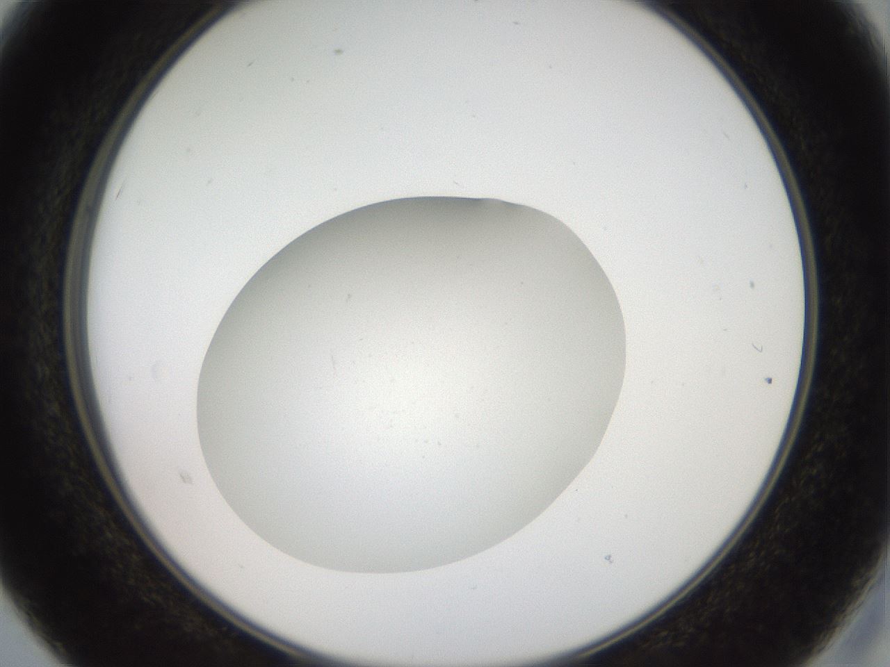 folderID41_plateID2041_batchID9006_wellNum15_profileID1_d2_r137300_ef.jpg