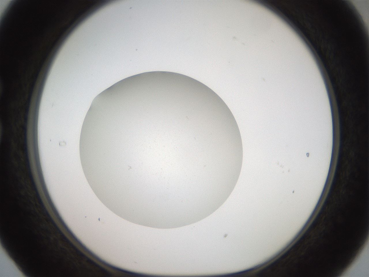 folderID41_plateID2041_batchID9006_wellNum29_profileID1_d1_r137327_ef.jpg