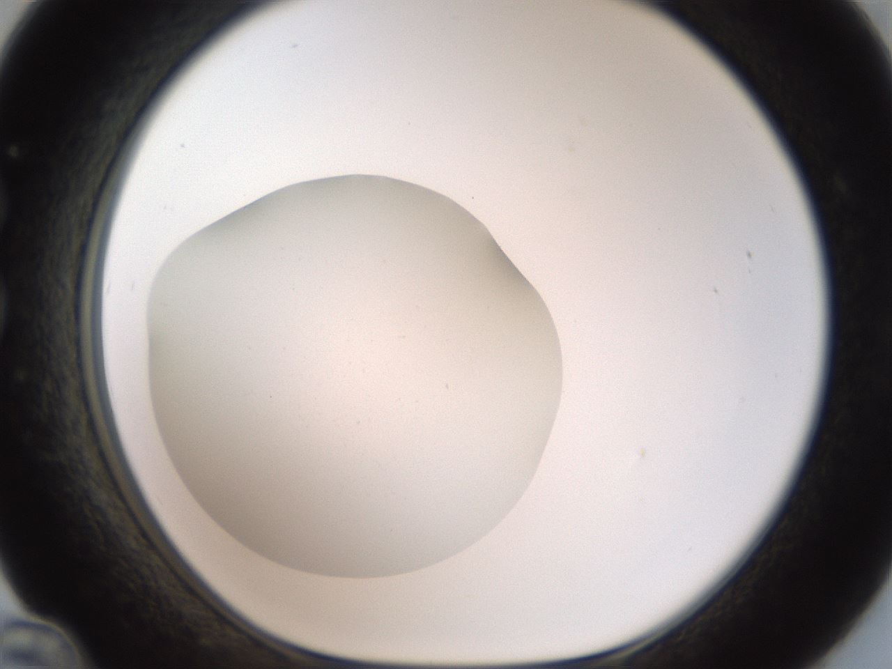 folderID41_plateID2041_batchID9006_wellNum36_profileID1_d1_r137341_ef.jpg