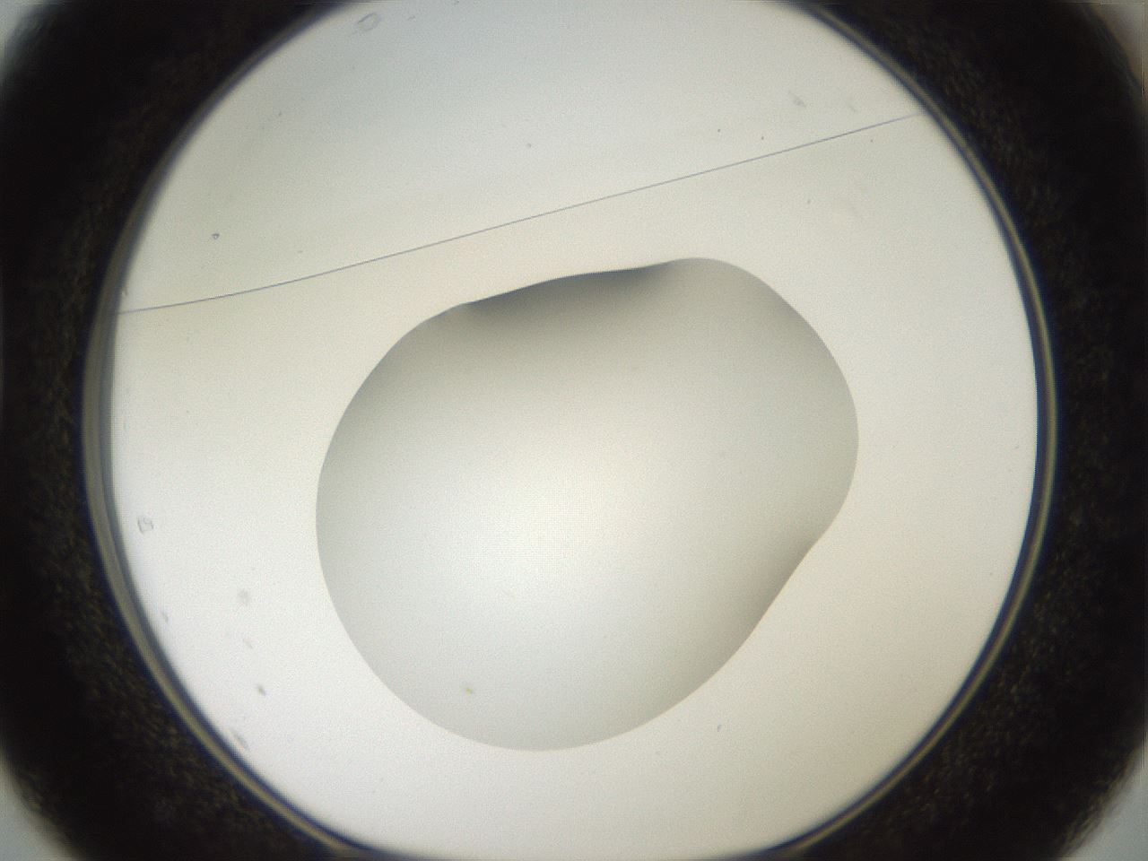 folderID41_plateID2041_batchID9006_wellNum37_profileID1_d1_r137343_ef.jpg