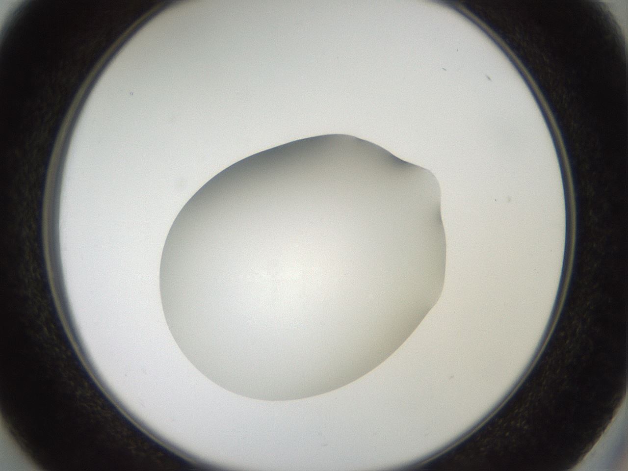 folderID41_plateID2041_batchID9006_wellNum37_profileID1_d2_r137344_ef.jpg
