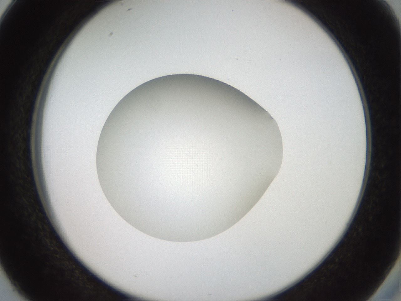 folderID41_plateID2041_batchID9006_wellNum38_profileID1_d2_r137346_ef.jpg