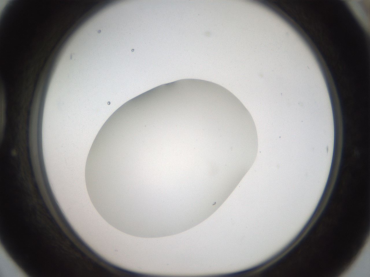 folderID41_plateID2041_batchID9006_wellNum42_profileID1_d1_r137353_ef.jpg