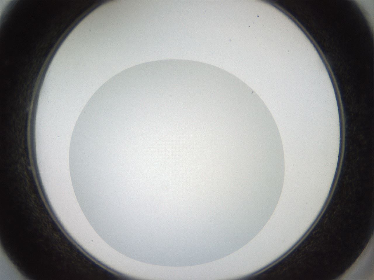 folderID41_plateID2041_batchID9006_wellNum49_profileID1_d2_r137368_ef.jpg