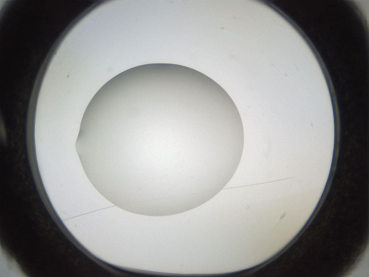 folderID41_plateID2041_batchID9006_wellNum4_profileID1_d1_r137277_ef.jpg