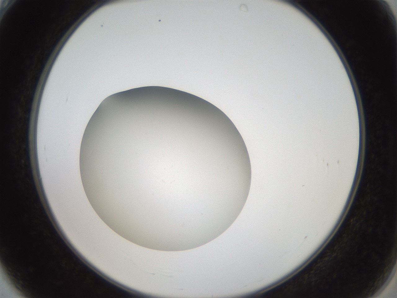 folderID41_plateID2041_batchID9006_wellNum4_profileID1_d2_r137278_ef.jpg