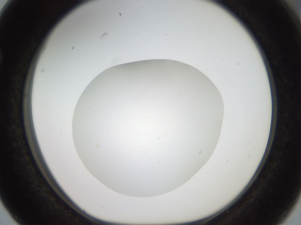 folderID41_plateID2041_batchID9006_wellNum63_profileID1_d1_r137395_ef.jpg