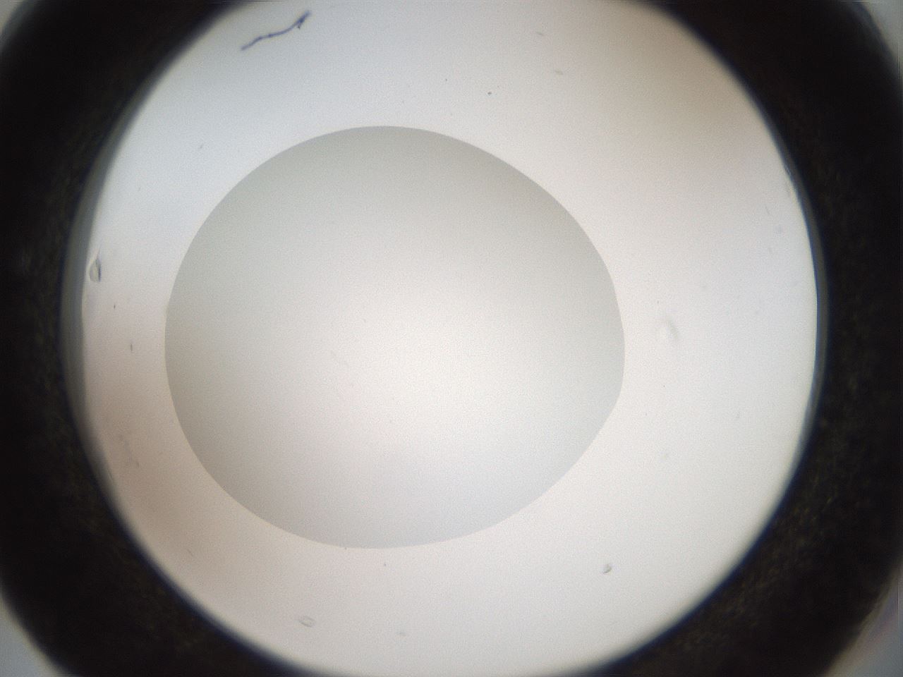 folderID41_plateID2041_batchID9006_wellNum63_profileID1_d2_r137396_ef.jpg