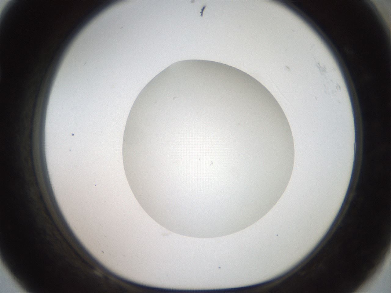 folderID41_plateID2041_batchID9006_wellNum68_profileID1_d1_r137405_ef.jpg