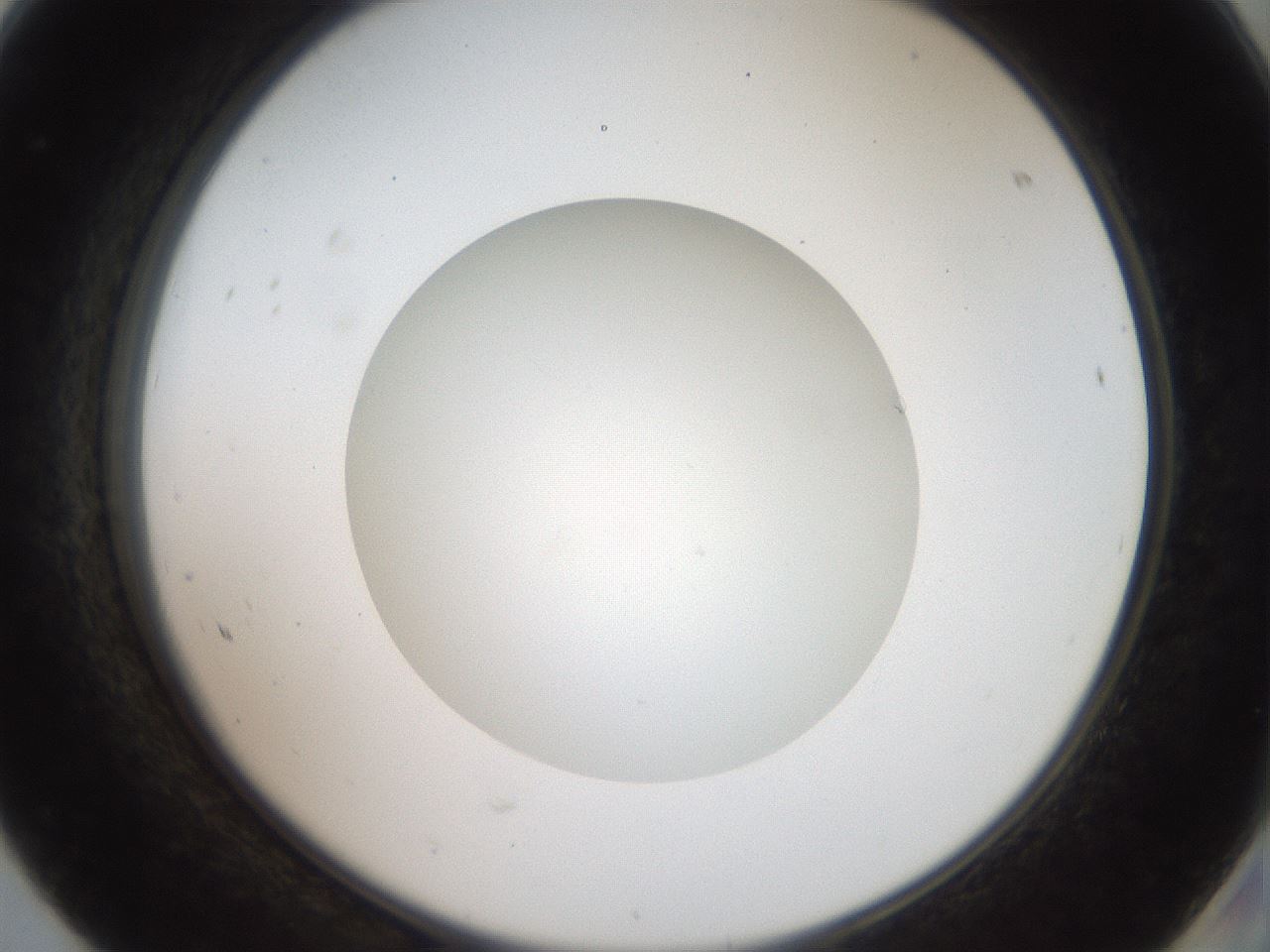 folderID41_plateID2041_batchID9006_wellNum68_profileID1_d2_r137406_ef.jpg