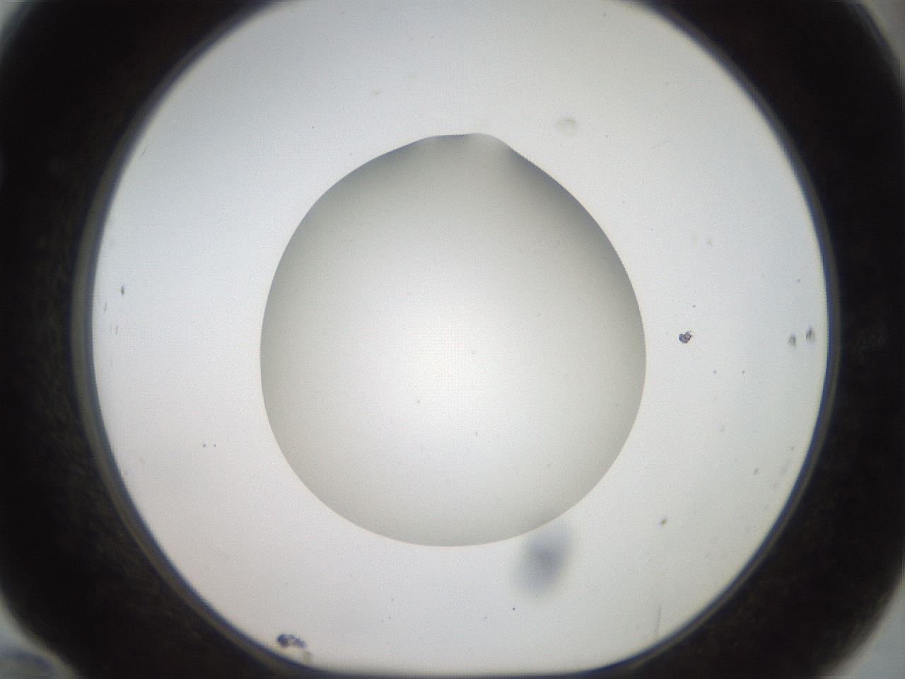 folderID41_plateID2041_batchID9006_wellNum70_profileID1_d1_r137409_ef.jpg