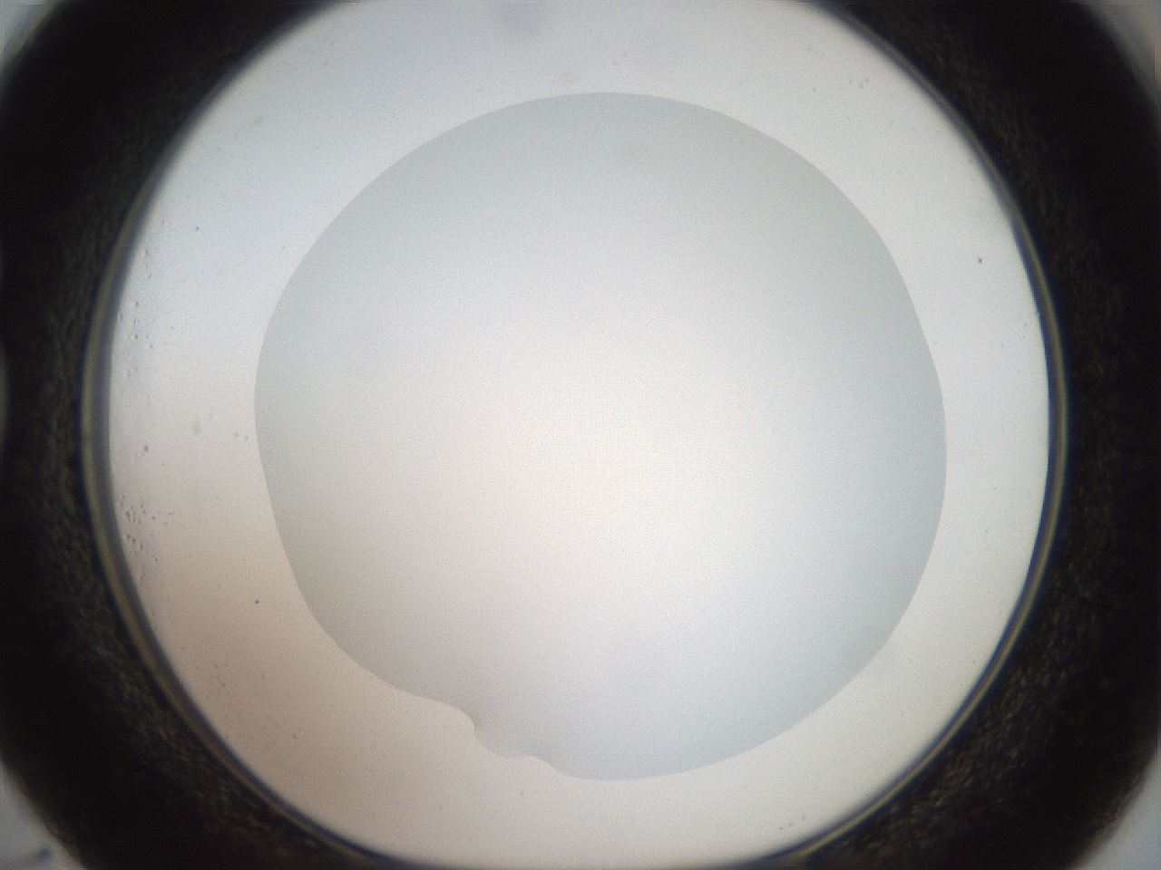 folderID41_plateID2041_batchID9006_wellNum73_profileID1_d1_r137415_ef.jpg